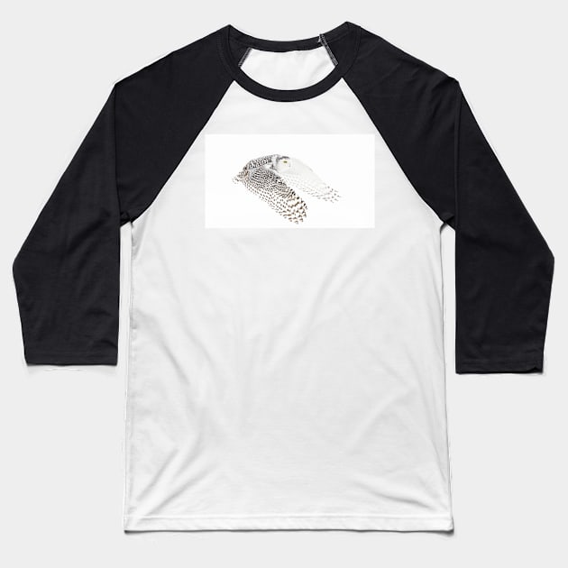 Wings Out - Snowy Owl Baseball T-Shirt by Jim Cumming